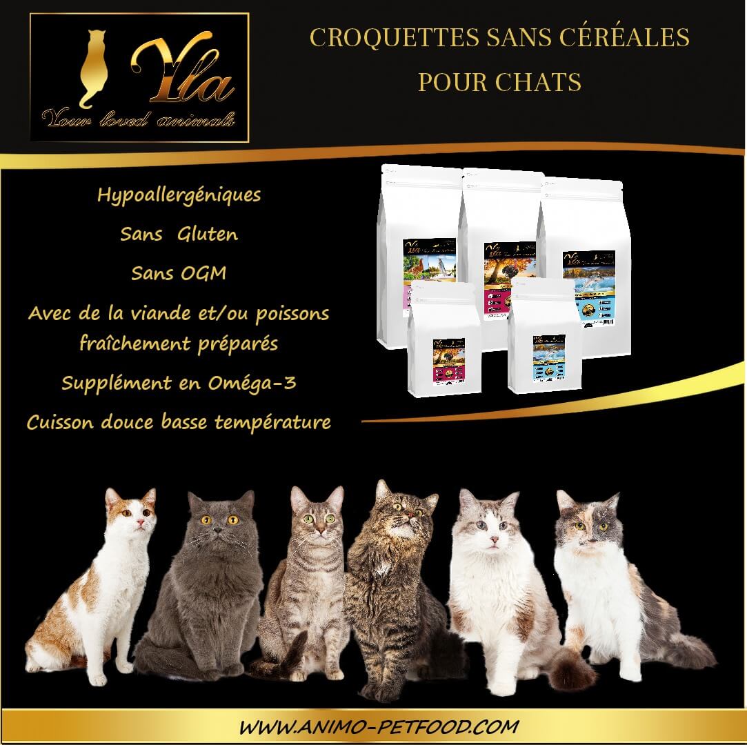 croquettes-yla-sans-gluten-pour-chat